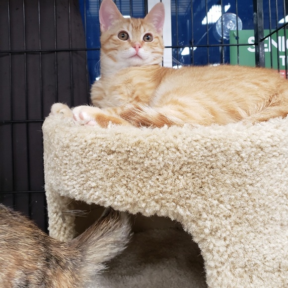 Meet your Posher, Brooke - Picture 8 of 8